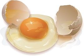Мифы и заблуждения о пользе и вреде яиц